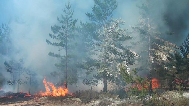 Пожарные испытания НПО СОПОТ смотреть онлайн