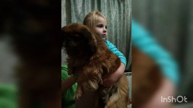 С Днём Рождения доченька) смотреть онлайн