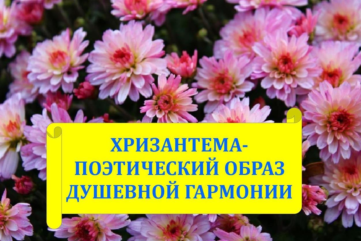 Хризантема - поэтический образ душевной гармонии. Подкасты из серии Истории древности смотреть онлайн
