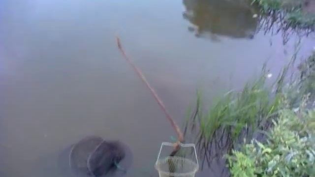 Рыбалка на озере Светлое смотреть онлайн