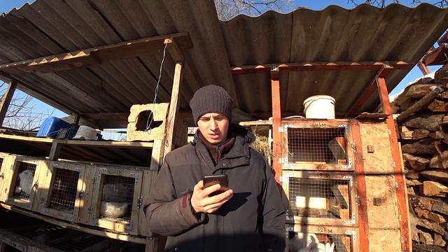 Кролики кусаются
ПОСЛЕДНЕЕ ВИДЕО, КРОЛИКИ ИСЧЕЗЛИ смотреть онлайн