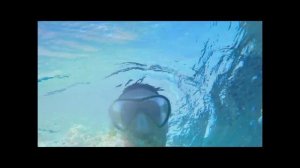 ??? 7 лучших экскурсий? в Египте