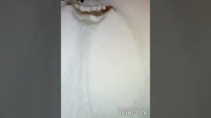 Гол! Х...! Штанга!