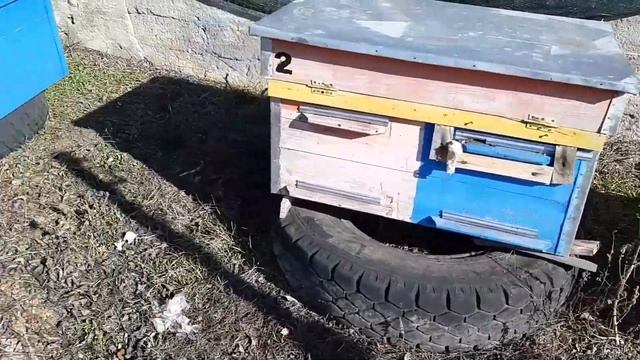 Соевая мука, подготовка к подкормки пчёл 18.02.2020 смотреть онлайн