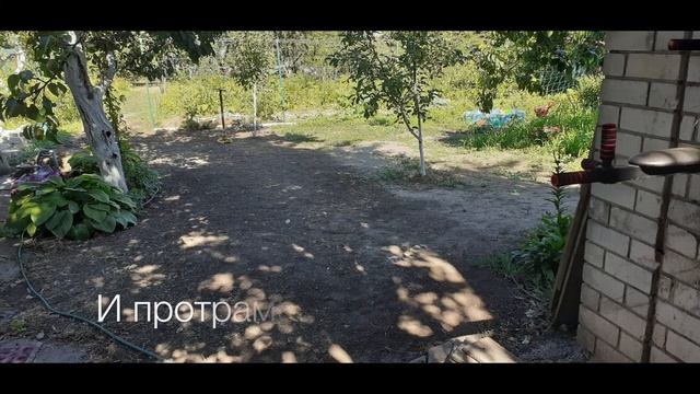 DIY Lawn Creation: 100 Square Meters for $35 | Our Budget-Friendly Journey смотреть онлайн