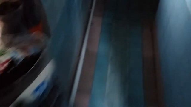 Саженцы Дуба,каштана смотреть онлайн