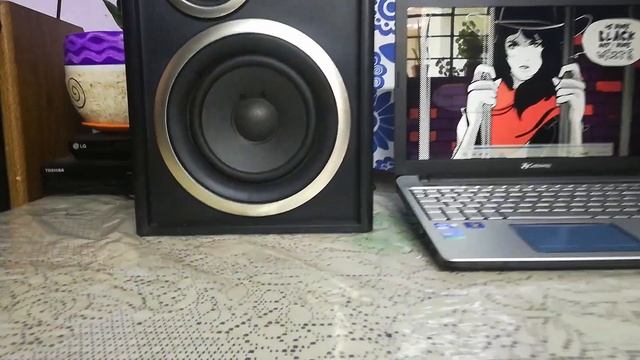 Bocinas SONY Mod. SS-D117 смотреть онлайн