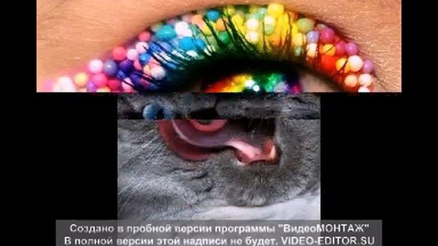 Любимые картинки### смотреть онлайн