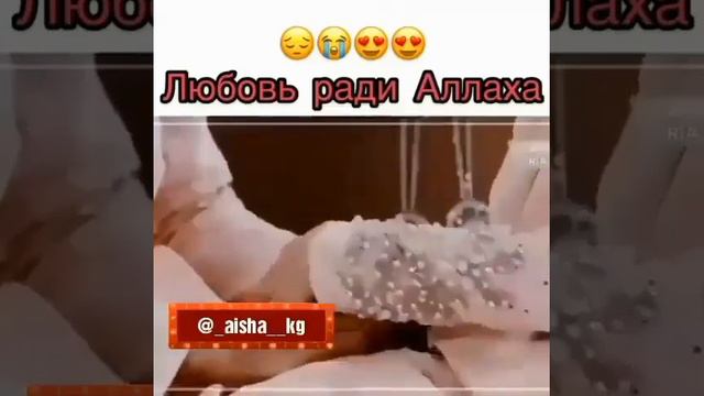 Маша Аллах любовь ради Аллаха...
