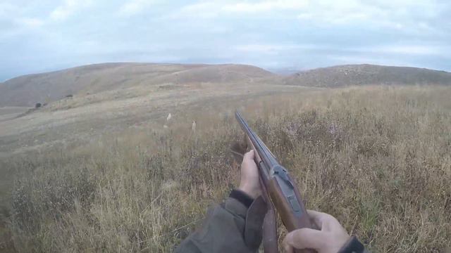 Լորի որս Հայաստանում Охота на перепела в Армении смотреть онлайн