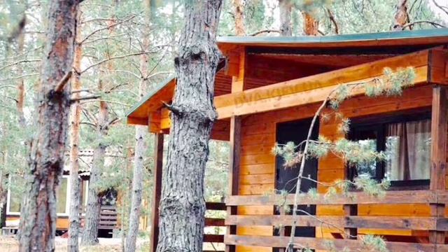 Дачный деревянный дом смотреть онлайн