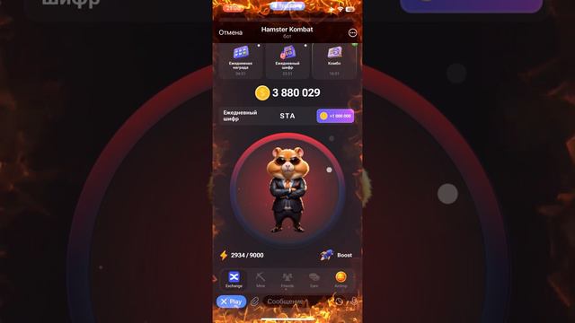 Хомяк 27-28 июня Шифр смотреть онлайн