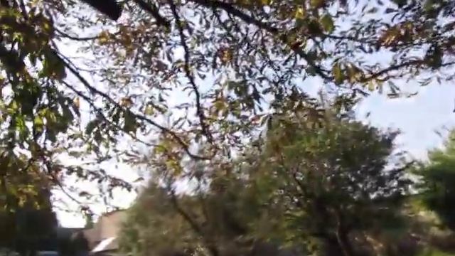 Двор на улице Нарвской, Калининград смотреть онлайн