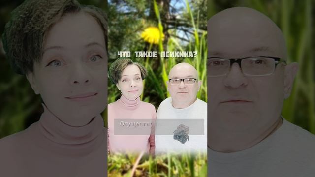 Что такое психика_.mp4
