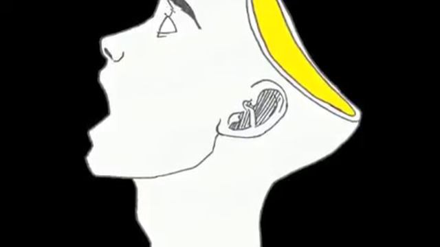 Empty Brain - MILF смотреть онлайн