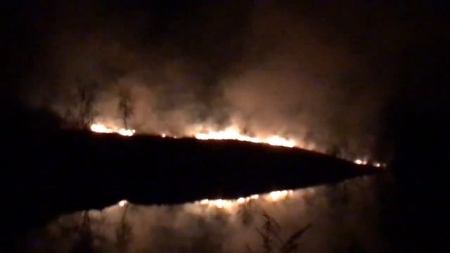 В Алексинском районе огонь «окружил» пруд смотреть онлайн