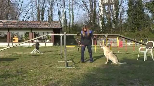 Методика "Делай как я" от Claudia Fugazza смотреть онлайн