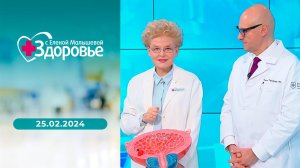 Здоровье. Выпуск от 25.02.2024
