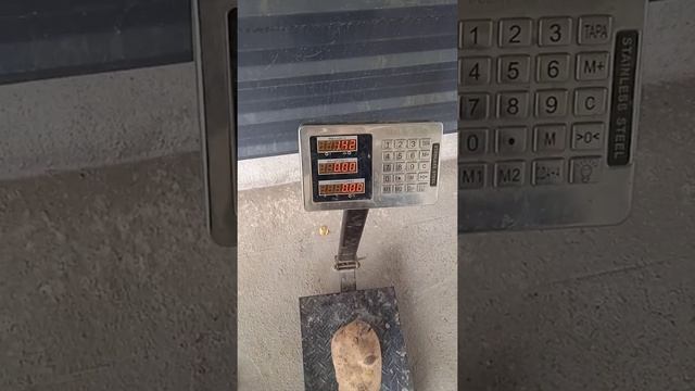 картошка 1кг420 грамм декорд Узбекистан #самый большой картофель смотреть онлайн