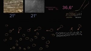 Теплопроводность металла и дерева (часть 10)| Термодинамика | Физика