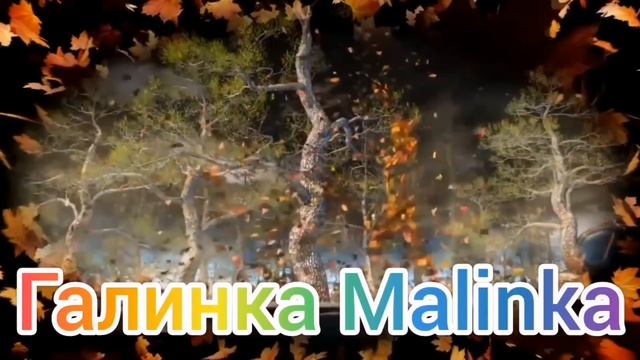 Ольга Уралочка live /Как же их колбасит/ Обзор Влогов /Уралочка и Сафар / смотреть онлайн