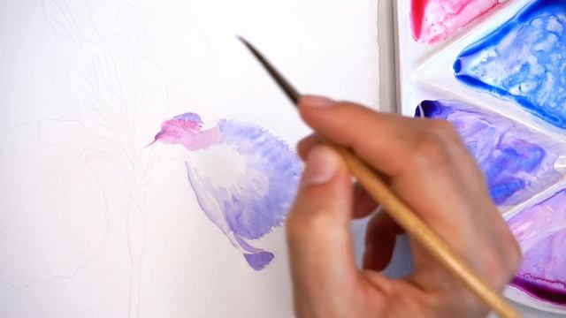 Blue Iris Watercolor Painting ? Mixing Watercolor for this Blue Iris ? Realistic Flower Painting смотреть онлайн