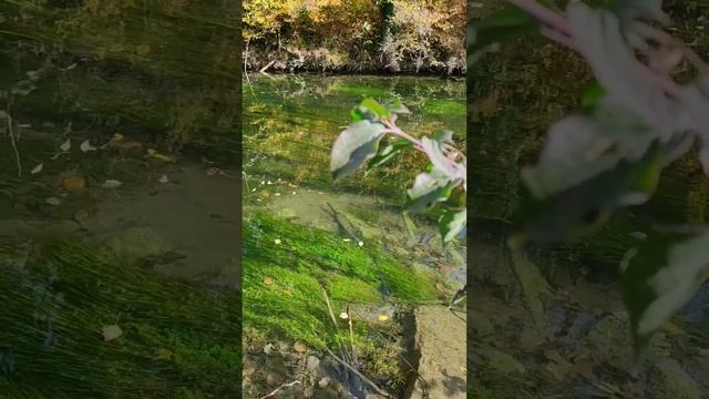 Путешествие к заброшенному чоргуньскому мосту акведуку XIX века смотреть онлайн