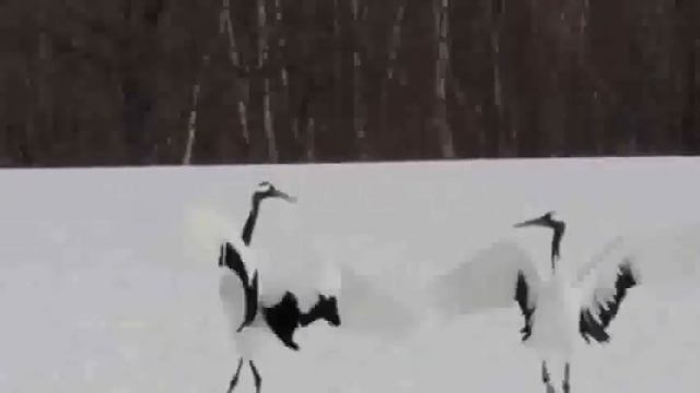 Ты, прощаясь, шептала на ухо смотреть онлайн