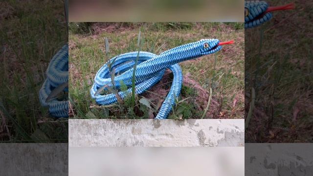 Мои работы из бумажной лозы и холодного фарфора. Животные и корзины в виде животных смотреть онлайн