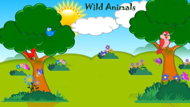 Wild Animals | Forest Animals | Wild Animals For Kids | Preschool Learning Wild Animals - Kids Entr