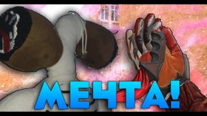 УЗНАЛИ МЕЧТУ ЧЕРЕПУХУСА... СКОРО У НЕГО ДЕНЬ РОЖДЕНИЯ!!