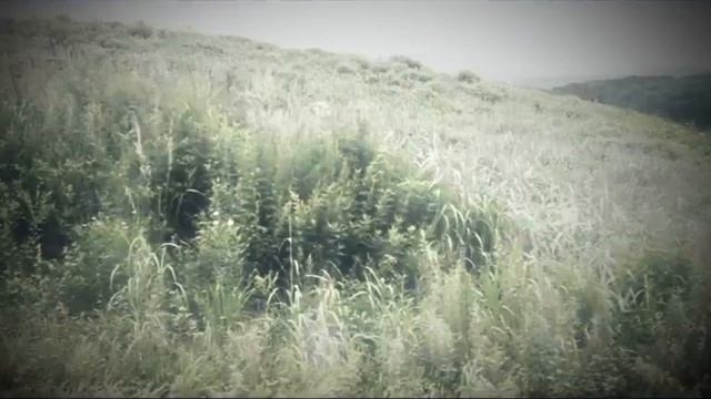 Курума тест гайковерта Ombra OMP11281 смотреть онлайн