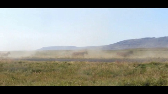 Фауна Исландии