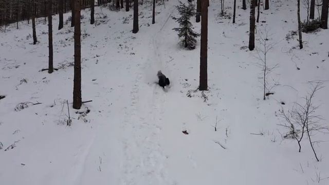 Subaru Forester Diesel Off Road Snow Forest Quarry покатушки на бездорожье 2018