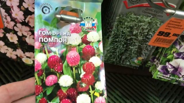 Семена Цветов в Оби! Ипомея,Дихондра , Годеция,Вербена,Георгина. смотреть онлайн