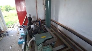 Камера хранения и шоковая заморозка для малины 4k