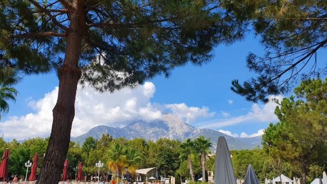 634. Посиделки и болталки. Обо всем и ни о чем) смотреть онлайн