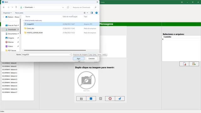 WA Envia - Sistema desenvolvido em Delphi смотреть онлайн