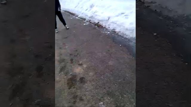 Нереальный голос(смотреть до конца,ахахахах) смотреть онлайн