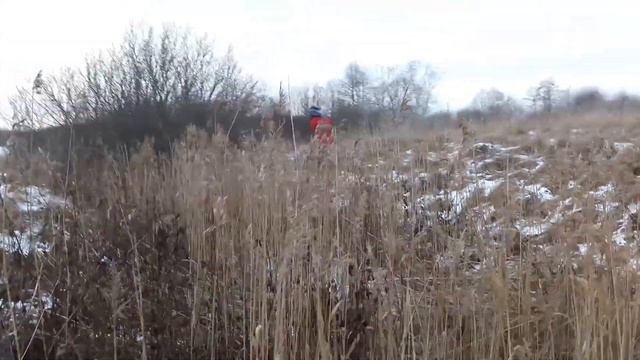 ВЧ 01.12.2018 смотреть онлайн