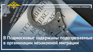 В Подмосковье задержаны подозреваемые в организации незаконной миграции
