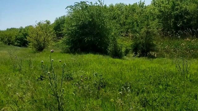 Съездили на рыбалку.Красоты природы смотреть онлайн
