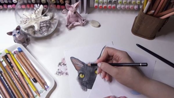 Мои странные заказчики #2. Рисую котика (цветные карандаши Faber Castell, Derwent Lightfast)