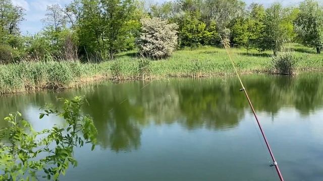 Уикенд выходного дня! Отдых и рыбалка! 2023 смотреть онлайн