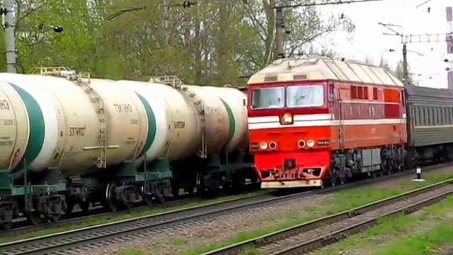 Train Kostomuksha - St. Petersburg | Поезд Костомукша - Санкт-Петербург