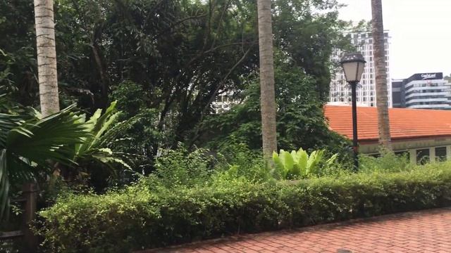 FORT CANNING TREE TUNNEL | Nature смотреть онлайн