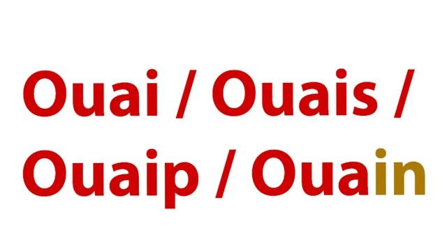 СУРОВЫЙ ФРАНЦУЗСКИЙ СЛЕНГ. Переписка, Верлан. ОЗВУЧИВАЕТ ФРАНЦУЗ! смотреть онлайн