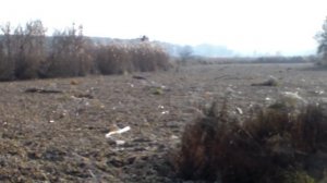 Экологическое бедствие на Северском Донце