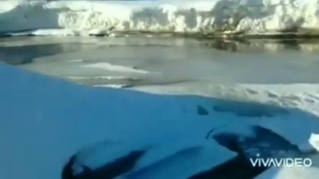 Перевал Дятлова. Травмы Колеватова + мнение судмедэксперта Э. Туманова. смотреть онлайн