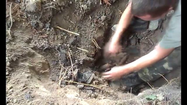 Царская посуда и неплохой чермет смотреть онлайн